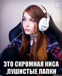  это скромная киса ,пушистые лапки