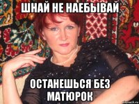 шнай не наебывай останешься без матюрок