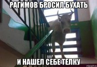 рагимов бросил бухать и нашел себе телку