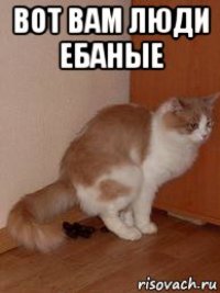 вот вам люди ебаные 