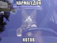 кармагедон котов