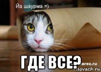  где все?