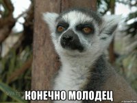  конечно молодец