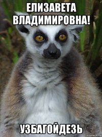 елизавета владимировна! узбагойдезь