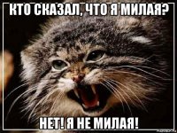 кто сказал, что я милая? нет! я не милая!