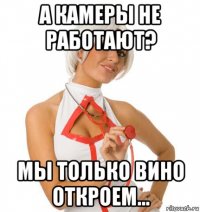 а камеры не работают? мы только вино откроем...