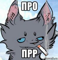 про прр