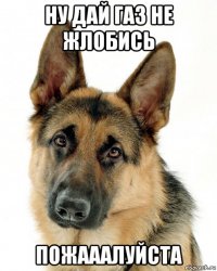 ну дай газ не жлобись пожааалуйста