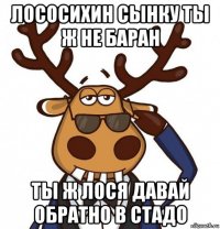 лососихин сынку ты ж не баран ты ж лося давай обратно в стадо
