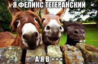 я феликс тегеранский а я в +++