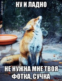 ну и ладно не нужна мне твоя фотка, сучка