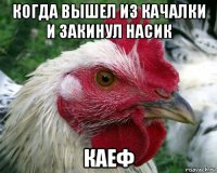 когда вышел из качалки и закинул насик каеф