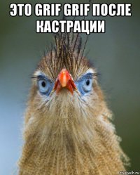 это grif grif после кастрации 