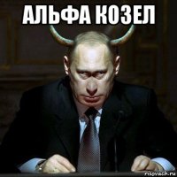 альфа козел 
