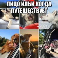 лицо ильи,когда путешествует 