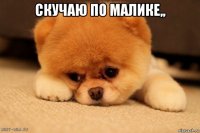 скучаю по малике,, 