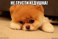 не грусти хедушка! 