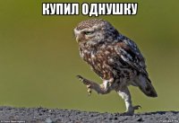 купил однушку 