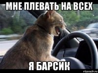 мне плевать на всех я барсик