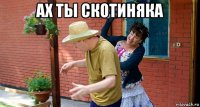 ах ты скотиняка 