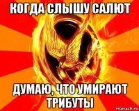 когда слышу салют думаю, что умирают трибуты