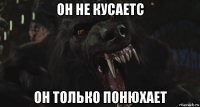 он не кусаетс он только понюхает