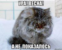 ура! весна! а не, показалось