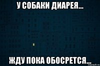 у собаки диарея... жду пока обосрется...