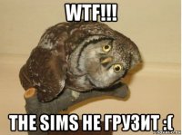 wtf!!! the sims не грузит :(