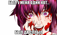 был у меня один кот.. был да сплыл