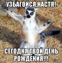 узбагойся,настя! сегодня твой день рождения!!!