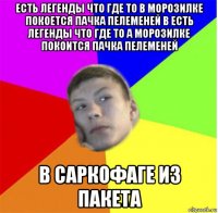 есть легенды что где то в морозилке покоется пачка пелеменей в есть легенды что где то а морозилке покоится пачка пелеменей в саркофаге из пакета