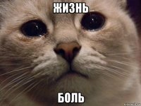 жизнь боль