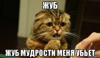 жуб жуб мудрости меня убьет