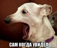  сам когда увидел