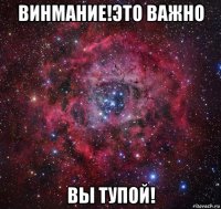 винмание!это важно вы тупой!