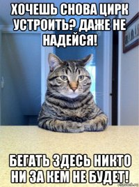 хочешь снова цирк устроить? даже не надейся! бегать здесь никто ни за кем не будет!