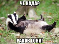 че нада? раков гони!