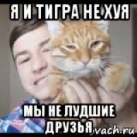 я и тигра не хуя мы не лудшие друзья
