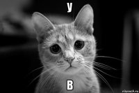 у в