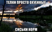 телки просто охуенные сиськи норм