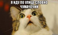 я иду по улице словно чумачечий 