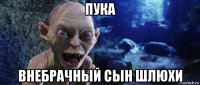 пука внебрачный сын шлюхи