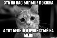 эта на вас больше похожа а тот белый и пушистый на меня