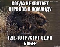 когда не хватает игроков в команду где-то грустит один бобер