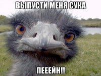 выпусти меня сука пееейн!!