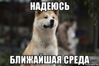 надеюсь ближайшая среда