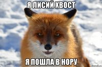 я лисий хвост я пошла в нору