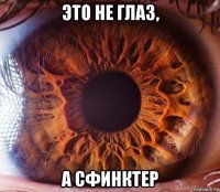 это не глаз, а сфинктер