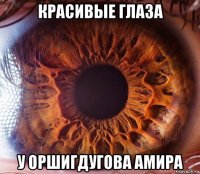 красивые глаза у оршигдугова амира